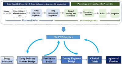 Application of Pharmacokinetic-Pharmacodynamic Modeling in Drug Delivery: Development and Challenges